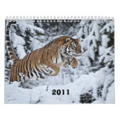 Mural Calendrier 2011 (Protection)
