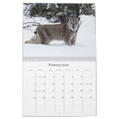 Mural Calendrier 2011 (Feb 2026)