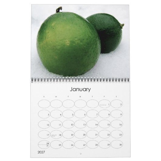 Mural Calendrier 2011 (Jan 2027)