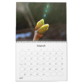 Mural Calendrier 2011 (Mar 2027)