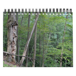 Mural Calendrier 2011