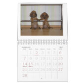 Mural Calendrier 2011 de chiot de teckel (Feb 2027)