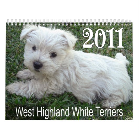 Mural Calendrier 2011 de chiots de Terrier blanc de (Protection)