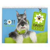 Mural Calendrier 2011 de DaisyCares (Protection)