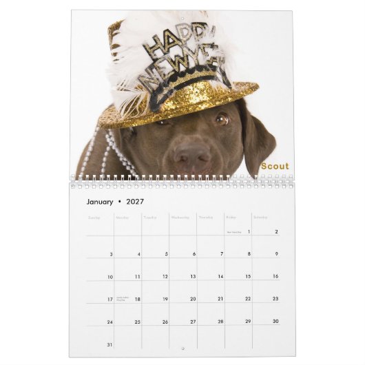 Mural Calendrier 2011 de DaisyCares (Jan 2027)