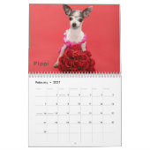Mural Calendrier 2011 de DaisyCares (Feb 2027)