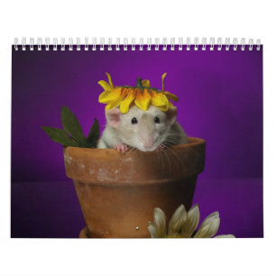 Mural calendrier 2011 de rat