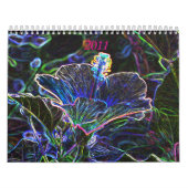 Mural Calendrier 2011 génial (Protection)