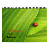 Mural Calendrier 2011 vert (Protection)