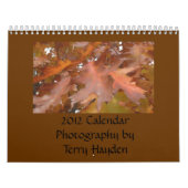 Mural Calendrier 2012 (Protection)