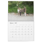 Mural Calendrier 2012 - Chats (Feb 2027)