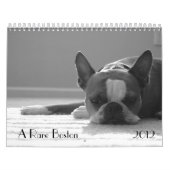 Mural Calendrier 2012 de Boston Terrier (Protection)