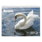 Mural Calendrier 2012 de cygne (Protection)