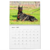 Mural Calendrier 2012 de dobermann (Mar 2027)
