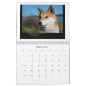 Mural Calendrier 2012 de Shiba Inu (Mar 2027)