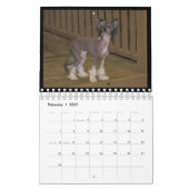 Mural calendrier 2012 pour chiens sans cheveux (Feb 2027)