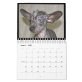 Mural calendrier 2012 pour chiens sans cheveux (Mar 2027)