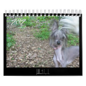 Mural calendrier 2012 pour chiens sans cheveux (Protection)