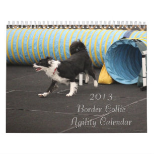 Mural Calendrier 2013 d'agilité de border collie