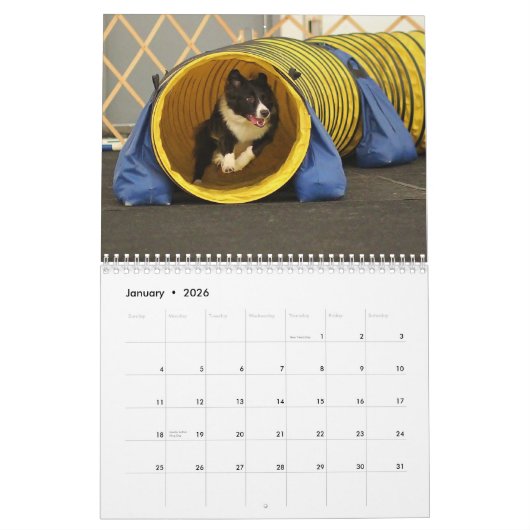 Mural Calendrier 2013 d'agilité de border collie (Jan 2026)