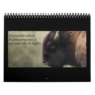 Mural Calendrier 2013 de Buffalo