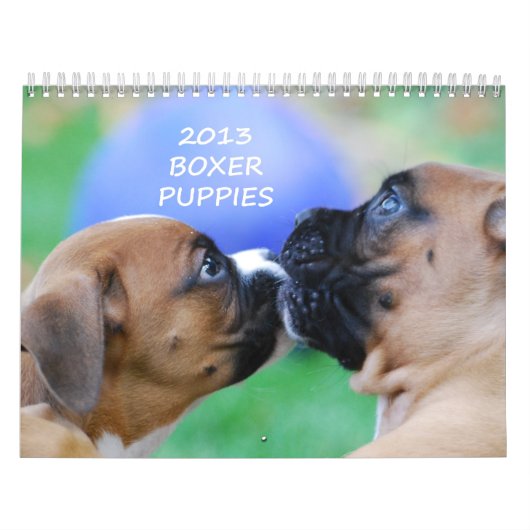 Mural Calendrier 2013 de chiot de boxeur (Protection)