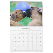 Mural Calendrier 2013 de chiot de boxeur (Feb 2027)