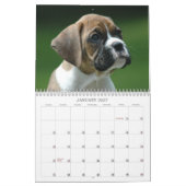 Mural Calendrier 2013 de chiot de boxeur (Jan 2027)