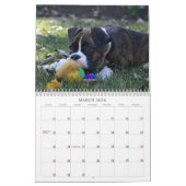 Mural Calendrier 2013 de chiot de boxeur (Mar 2026)
