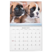 Mural Calendrier 2013 de chiot de boxeur (Mar 2027)