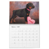 Mural Calendrier 2013 de chiot de dobermann (Feb 2027)