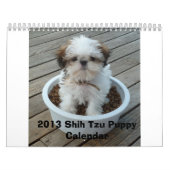 Mural Calendrier 2013 de chiot de Shih Tzu (Protection)