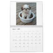 Mural Calendrier 2013 de chiot de Shih Tzu (Mar 2027)