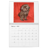 Mural Calendrier 2013 de chiot de Shih Tzu (Feb 2027)