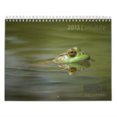 MURAL CALENDRIER 2013 DE FAUNE PAR DES PHOTOS DE MAYES (Protection)