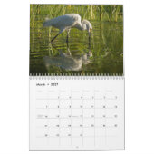 MURAL CALENDRIER 2013 DE FAUNE PAR DES PHOTOS DE MAYES (Mar 2027)
