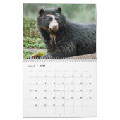 Mural Calendrier 2013 de la Fondation de l'ours andin (Mar 2027)