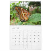Mural Calendrier 2013 de papillon (Mar 2027)