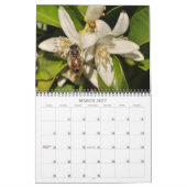 Mural Calendrier 2013 de photographie (Mar 2027)