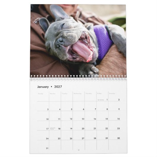 Mural Calendrier 2013 de poulet (Jan 2027)