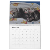 Mural Calendrier 2014 - Babies Possum (Mar 2026)