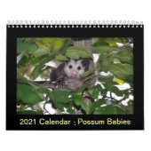 Mural Calendrier 2014 - Babies Possum (Protection)