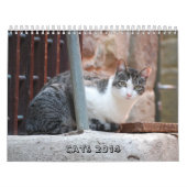 Mural Calendrier 2014 de chat (Protection)