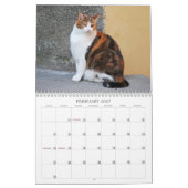 Mural Calendrier 2014 de chat (Feb 2027)