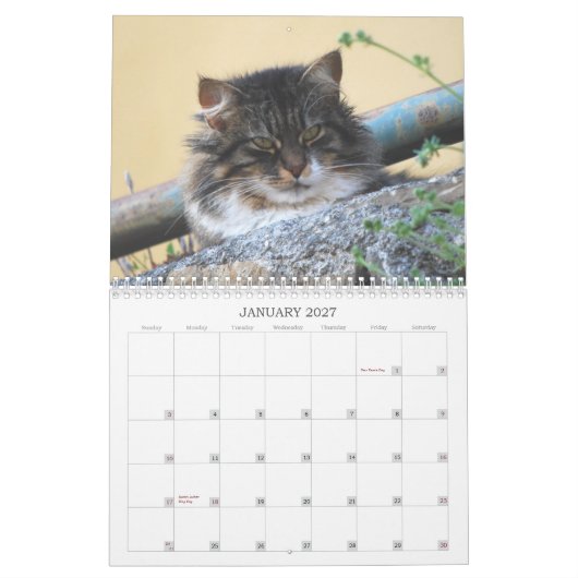 Mural Calendrier 2014 de chat (Jan 2027)