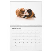 Mural Calendrier 2014 de cobaye (Feb 2027)