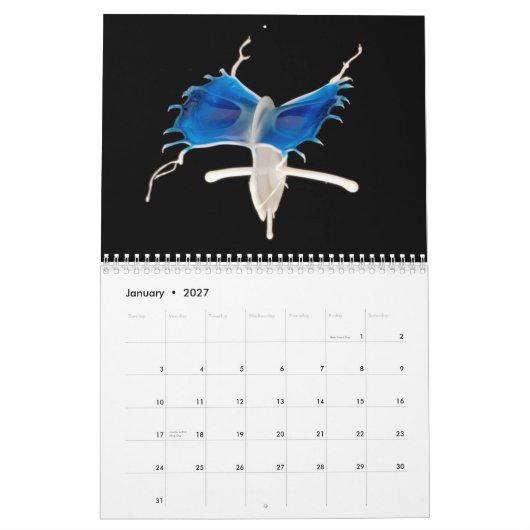 Mural Calendrier 2014 de Liquide-dans-Mouvement (Jan 2027)