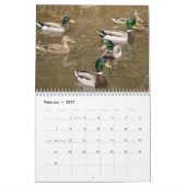 Mural Calendrier 2014 de sportifs de canards de Mallard (Feb 2027)