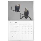 Mural Calendrier 2014 DES OISEAUX D'AFRIQUE (Deux pages) (Feb 2027)