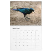Mural Calendrier 2014 DES OISEAUX D'AFRIQUE (Deux pages) (Mar 2027)